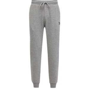 New Id Reg Jogger Gri Erkek Eşofman Altı