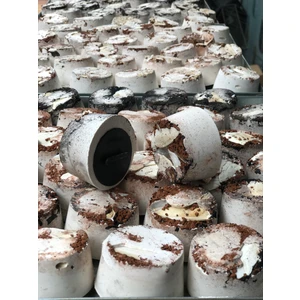 mnö MAMMAMİA mix Ekstra Kuş Kömürlü Mineral Kalsiyum Blok