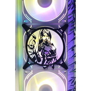 Valorant Sage
 120X120 mm Siyah Çerçeveli Oyun Pc Aksesuarı, Masaüstü Bilgisayar Fan Kapağı