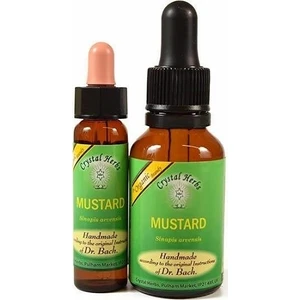 Bach Çiçekleri Mustard Hardal
