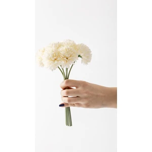 Yapay Kasımpatı Çiçeği Krem 25  cm  7 Dal