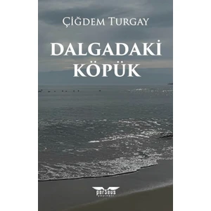 Dalgadaki Köpük - Çiğdem Turgay