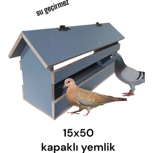 Kuş Kumru Güvercin Ahşap Su Geçirmez Kapaklı Yemlik Mamalık 15X50