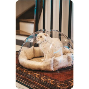 Kedi & Köpek Dome Evi - Fanus Yuva