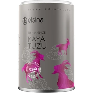 Kaya Tuzu İyotlu İnce 600 Gr