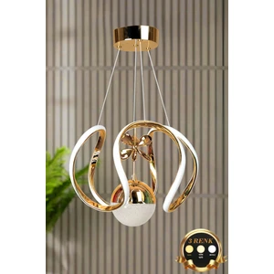 Clasy Model Gold Kaplama 3 Renk Metal Salon Mutfak Oturma Yatak Odası Modern LED Sarkıt Avize