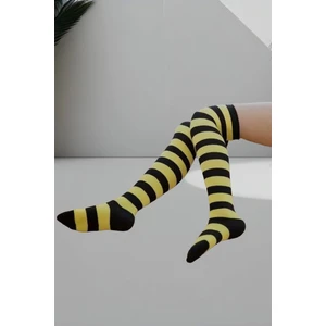 Rocks For Kadın Diz Üstü Şık   Pamuklu Çorap