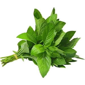 Nane Tohumu 500 Tohum 50 ₺