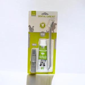 Dental Care Kit Naneli Fırça Diş Macunu Seti