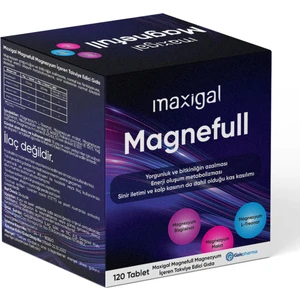 Magnefull Magnezyum 120 Tablet