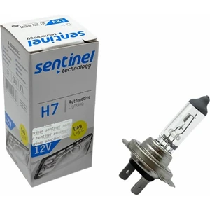 12V H7 Ampul 100W