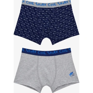 Cool Erkek Çocuk Köpekbalığı Baskılı Pamuklu 2'li Boxer