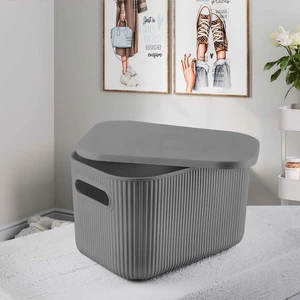 Kapaklı Plastik Çok Amaçlı Organizer Kutu 25x18x16 cm – Ev ve Ofis Düzeni İçin Kullanışlı Depolama