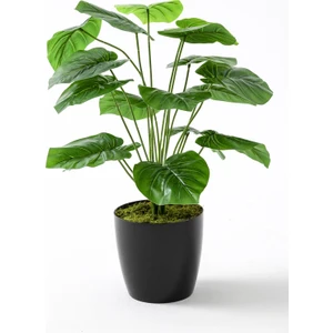 Yapay Salon Köşe Çiçeği Devetabanı Yeşil 65 cm