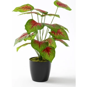 Yapay Salon Köşe Çiçeği Devetabanı Kırmızı 65 cm