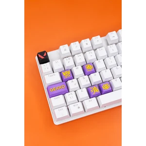 Valorant Gekko Keycaps, Q-E-X-C Mekanik Klavye Tuşu