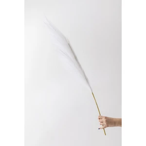 Yapay Pampas Çiçeği 100 cm Tek Dal Beyaz