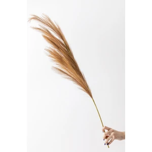 Yapay Pampas Çiçeği 100 cm Tek Dal Kahverengi