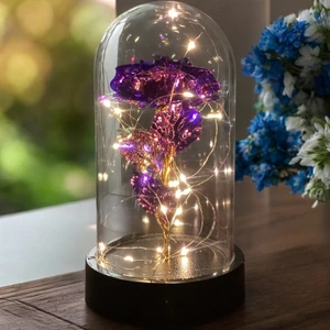 Brokoli Home Fanus Içerisinde Dekoratif Sonsuzluk Gülü , Anneler Günü , Sevgililer Günü , Hediyelik