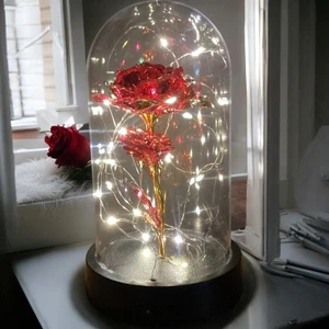 Brokoli Home Fanus Içerisinde Dekoratif Sonsuzluk Gülü , Anneler Günü , Sevgililer Günü , Hediyelik