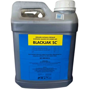 Blackjak Sc

5l Altıntar