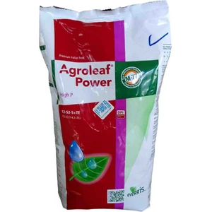 Agroleaf Power

12-52-5+Te 2kg  Alt