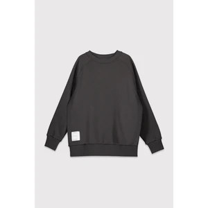 Reglan Kol Etiketli Sweatshirt