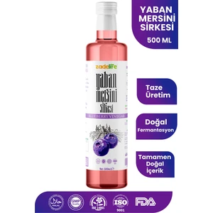C Vitamini Kaynağı Yaban Mersini Sirkesi 500 ml