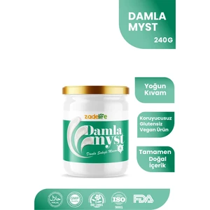 Damlamyst Damla Sakızı Macunu 240 gr