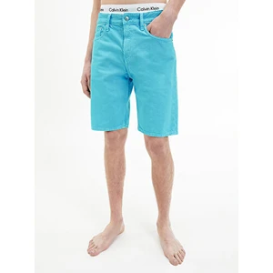 Calvin Klein Erkek 90'lar Straight Denim Şort