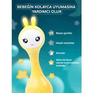 Akıllı Tavşan Sarı