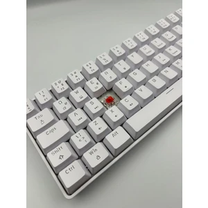 T60 Beyaz Renk Kırmızı Switch Rgb Mekanik Kablolu Driverli Oyuncu Klavyesi T60 Mini Türkçe Q Klavye