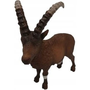 Oğlak 17101