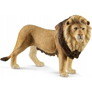Erkek Aslan 17107