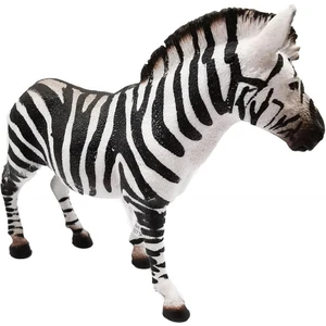 Dişi Zebra 17094