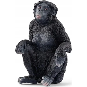 Bonobo 17088