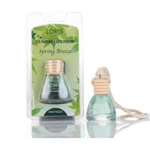 Bahar Rüzgarı Oto Kokusu 9 ml