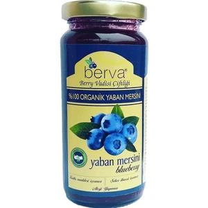 Organik Yaban Mersini Konservesi 230 gr