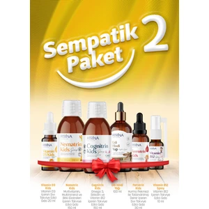 Sempatik Paket 2