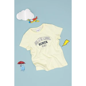 U.s. Polo Assn. Erkek Çocuk Limon Tişört 50307174-VR035