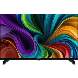 24NS900 24 '' Uydu Alıcılı HD Ready TV