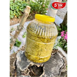 Manisa Sultaniye Salamura Asma Yaprak Yeni Mahsül 5 kg bidonda