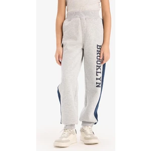 Kız Çocuk Baskılı Kalın Jogger Eşofman Altı D7010A824WN