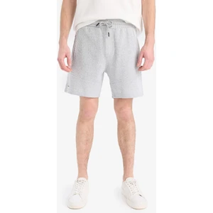 Slim Fit Dar Kesim Dar Paça Şort W7965AZ25SM