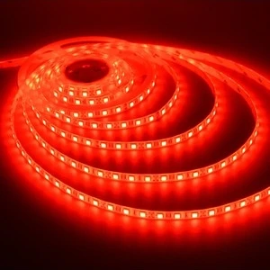 Tek Çipli Iç Mekan Silikonsuz Şerit LED 5 Metre 12 Volt 