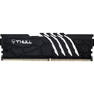 Vortex 16GB 5600MHZ CL46 1.1V Black Heatsınk Ddr5 Udımm Ram THL-PCVTX44800D5-16G-B