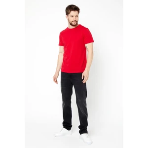 Erkek Çok Renkli T- Shirt Regular Fit Rahat Kesim Bisiklet Yaka Basic Tişört