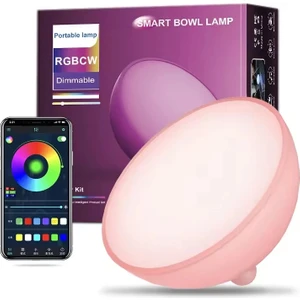 Ambians Go Taşınabilir Şarjlı Smart Küre