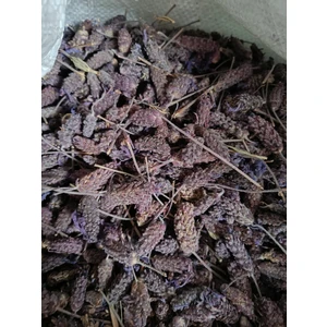 Doğanın Kalbi Karabaş Otu 300 gr ( Doğal Kurutulmuş Yeni Mahsül Taze Ürün )