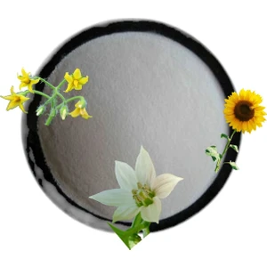 Çiçeklendirici Yüksek Fosforlu Gübre ( % 12 N - 61 P ) Map Gübre (1 Kg)